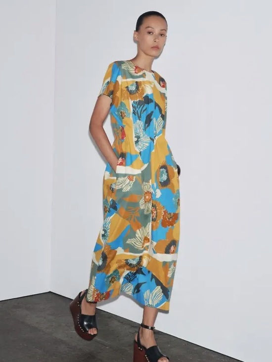 Zara Dresses & Skirts - ZW collection printed midi dress